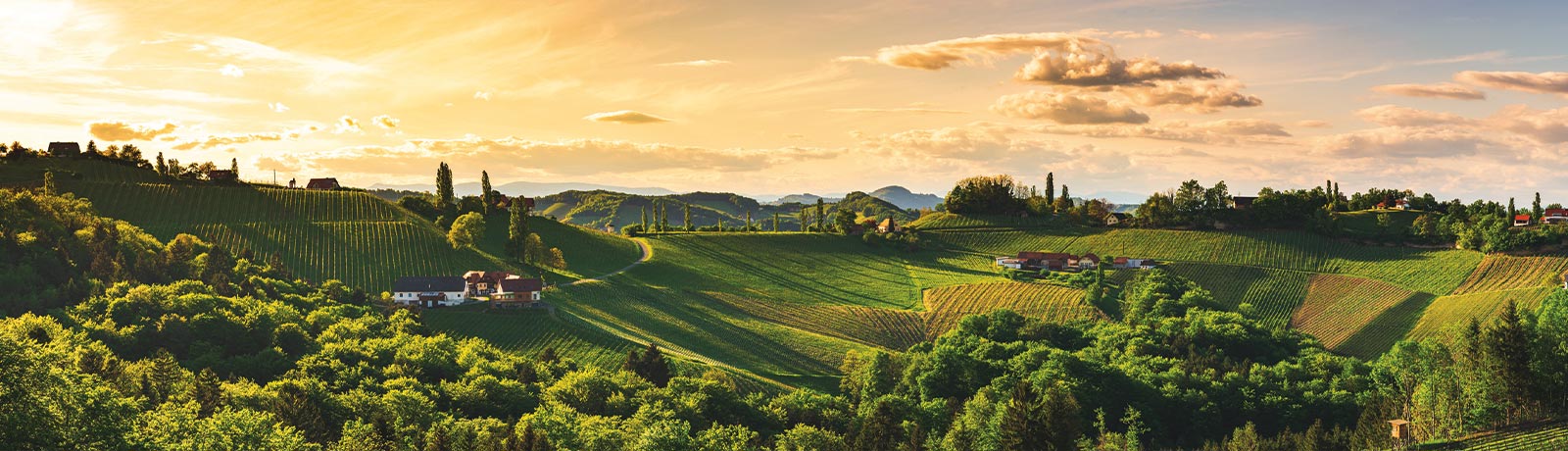 panorama colli regionali